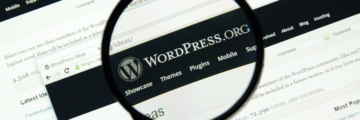 How to optimize and speed up a WordPress website