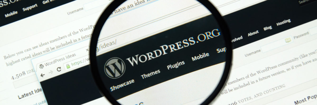 Why You Should Hire A WordPress Developer For Your Company