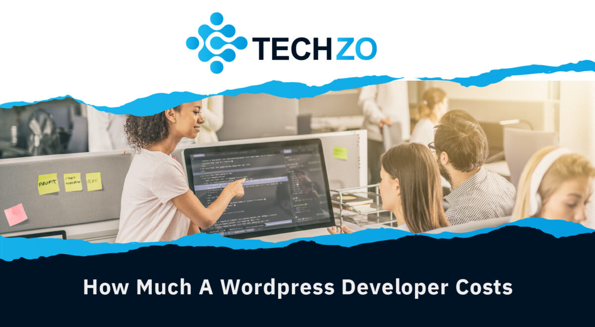 HOW MUCH A WORDPRESS DEVELOPER COSTS