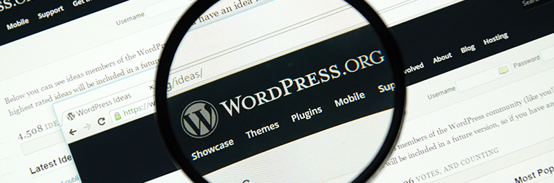 WHAT IS A WORDPRESS DEVELOPER