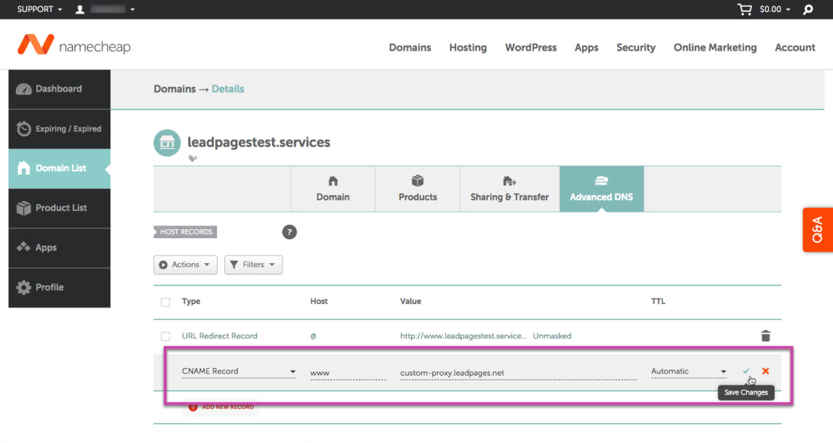 step 5 c How to connect domain with Lead Pages landing Page?