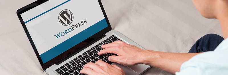 How significant is a Blog Search on Your WordPress Website How significant is a Blog Search on Your WordPress Website