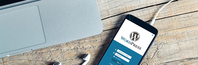 WHY USE WORDPRESS FOR YOUR WEBSITE