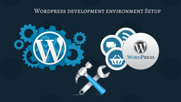 d Why you should hire a Word Press Developer