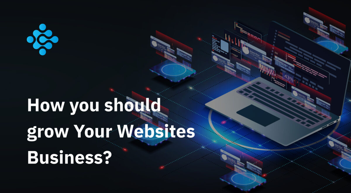 How you should grow Your Websites Business
