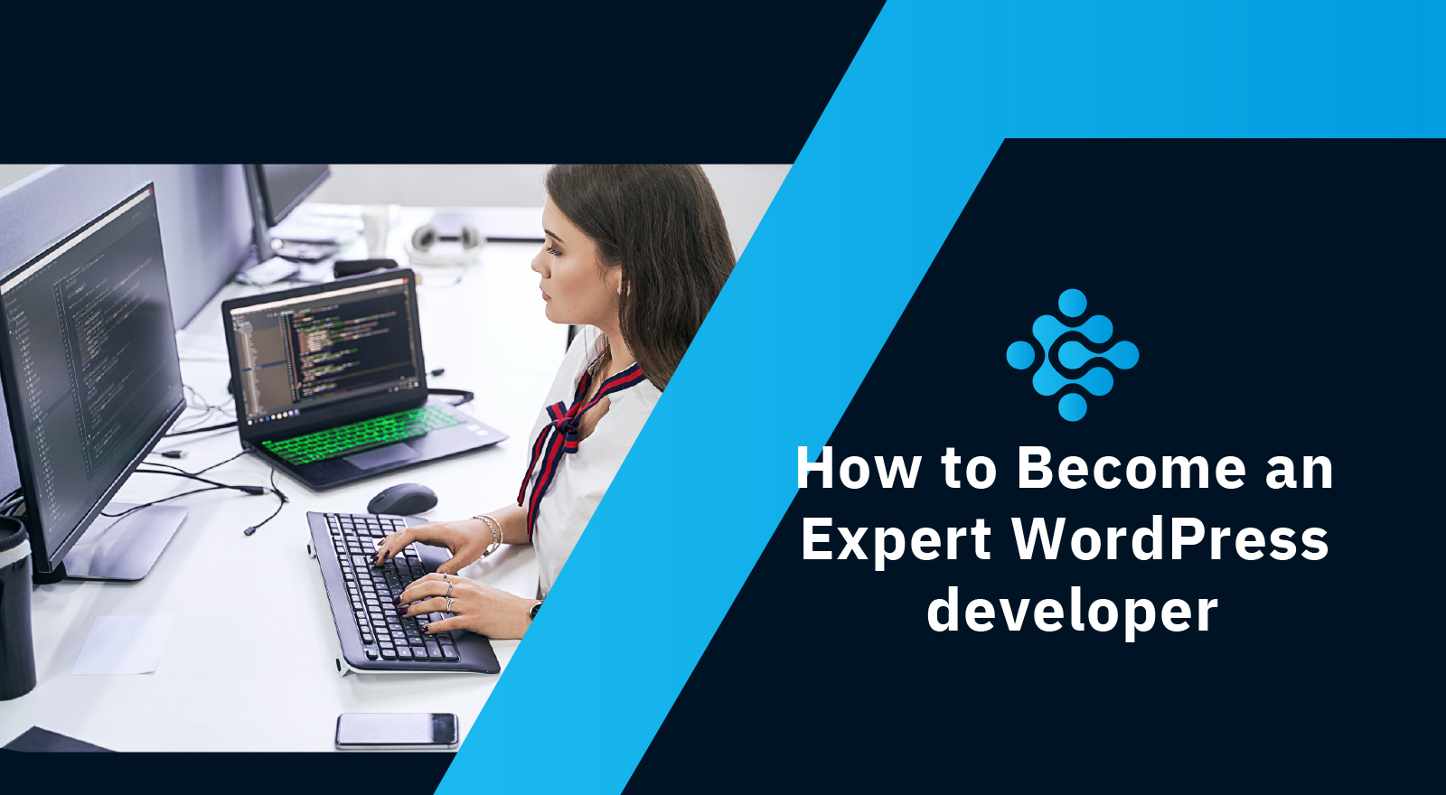 How to Become an Expert WordPress Developer