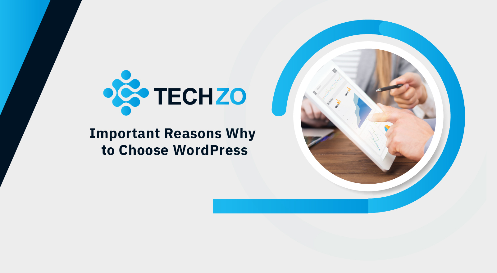 Important Reasons Why to Choose WordPress